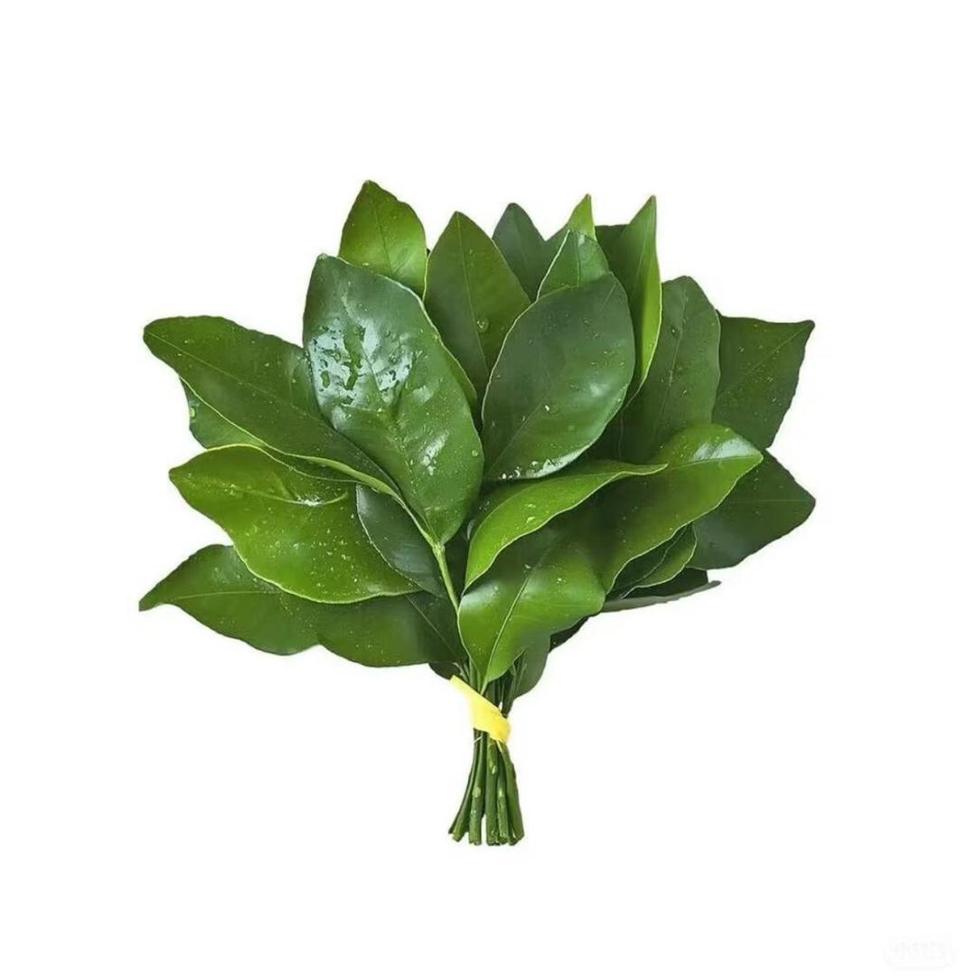 蓝色姑姑