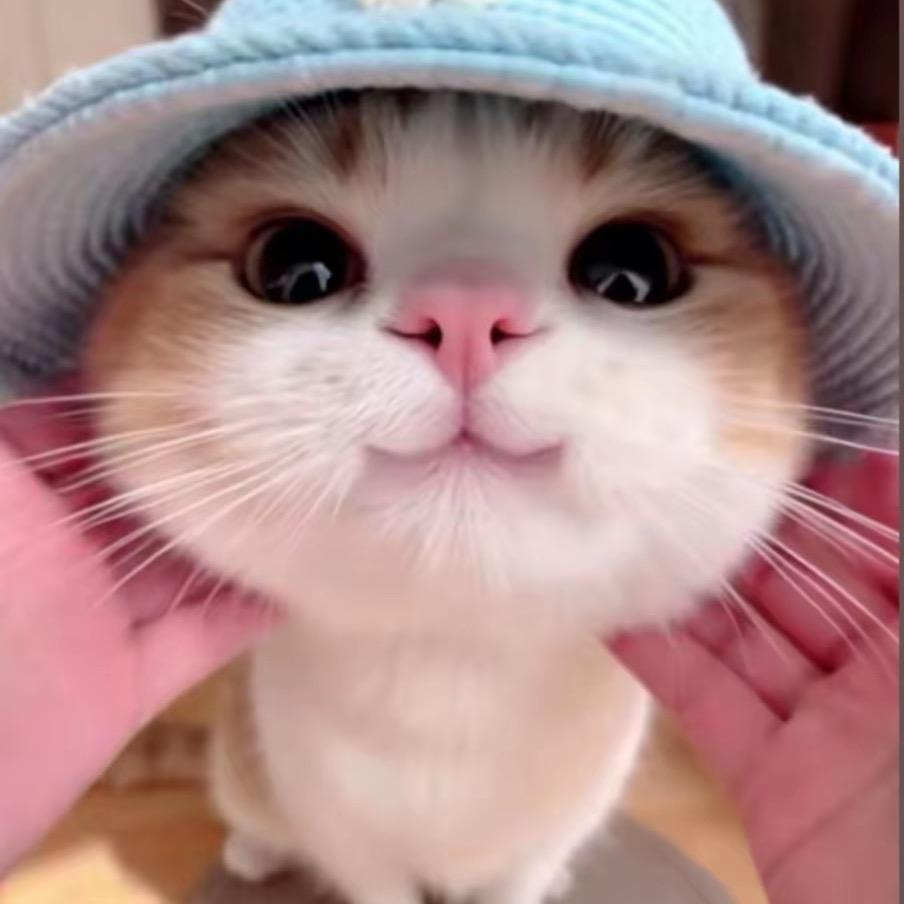 Helen海伦