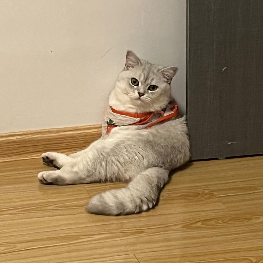 迪迦奥特曼