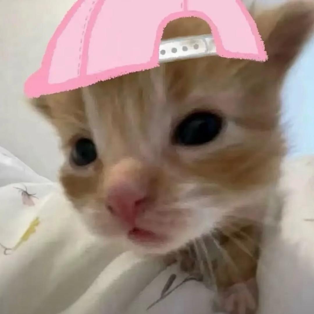 睡不醒