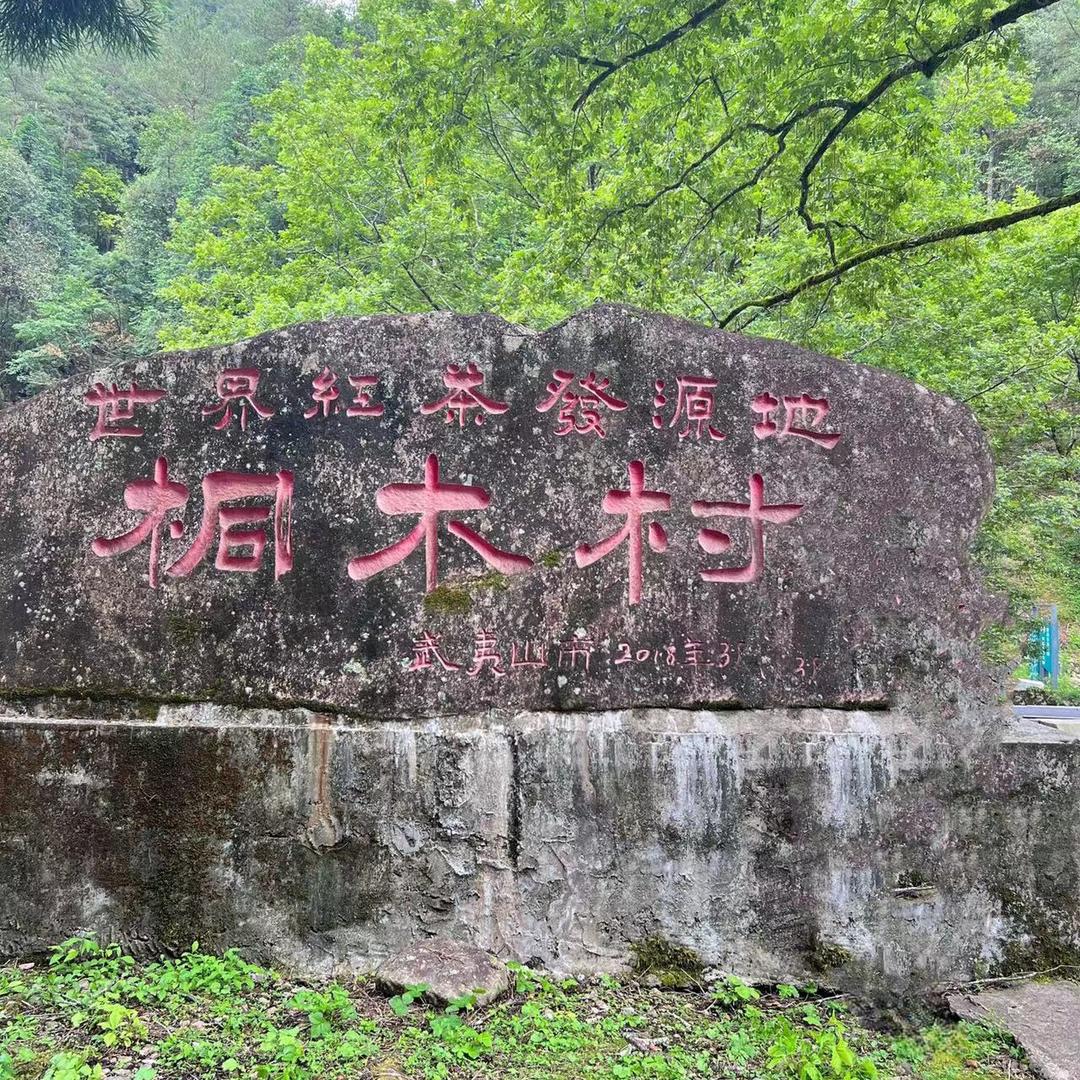 金骏眉世家·品南春