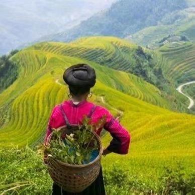 鏚鏚甄选