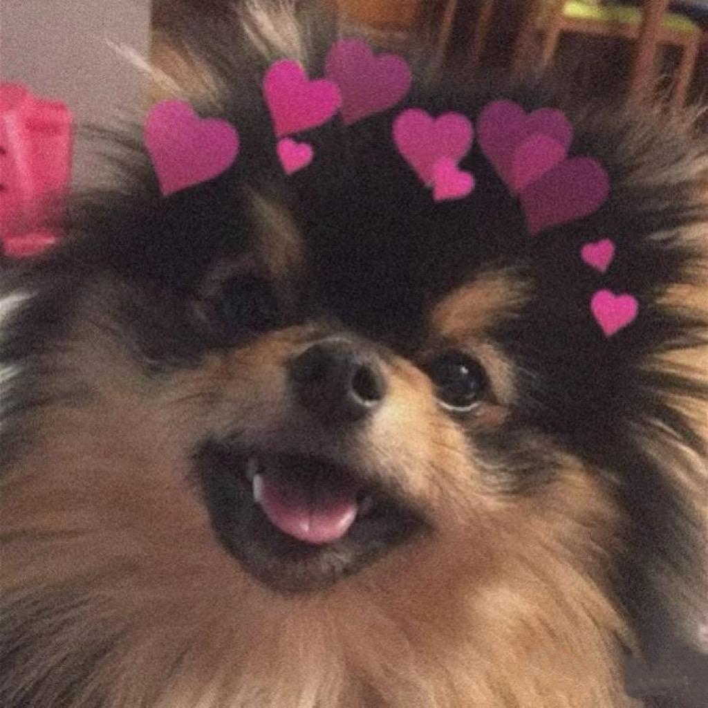 睡大觉