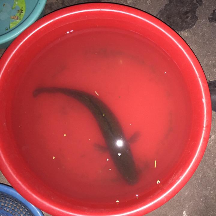 联合