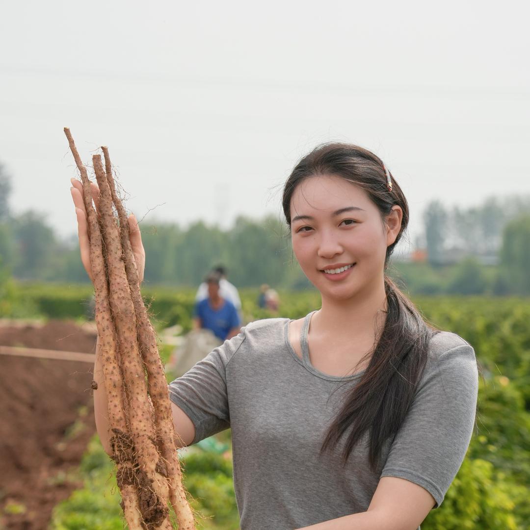 温县铁康怀山农产品