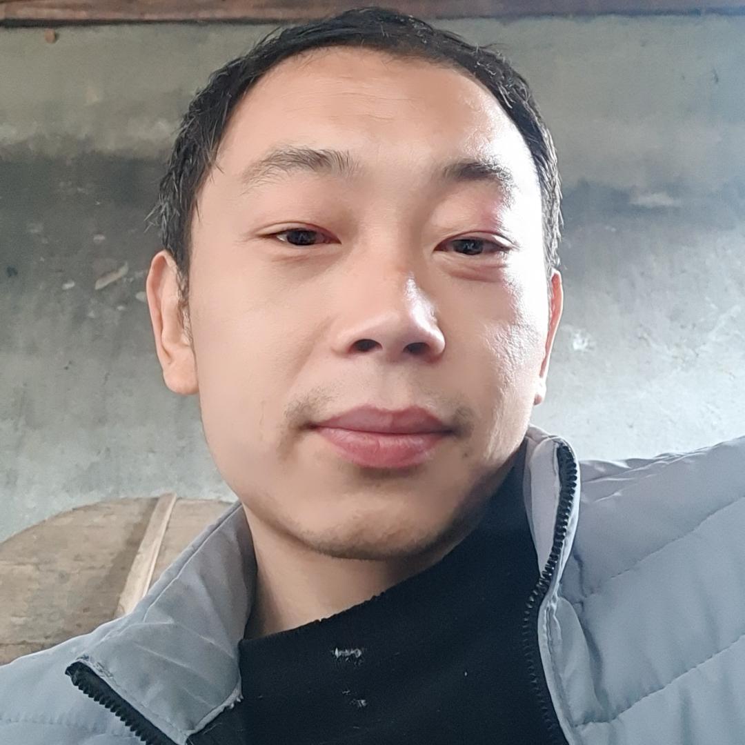 鸿晨