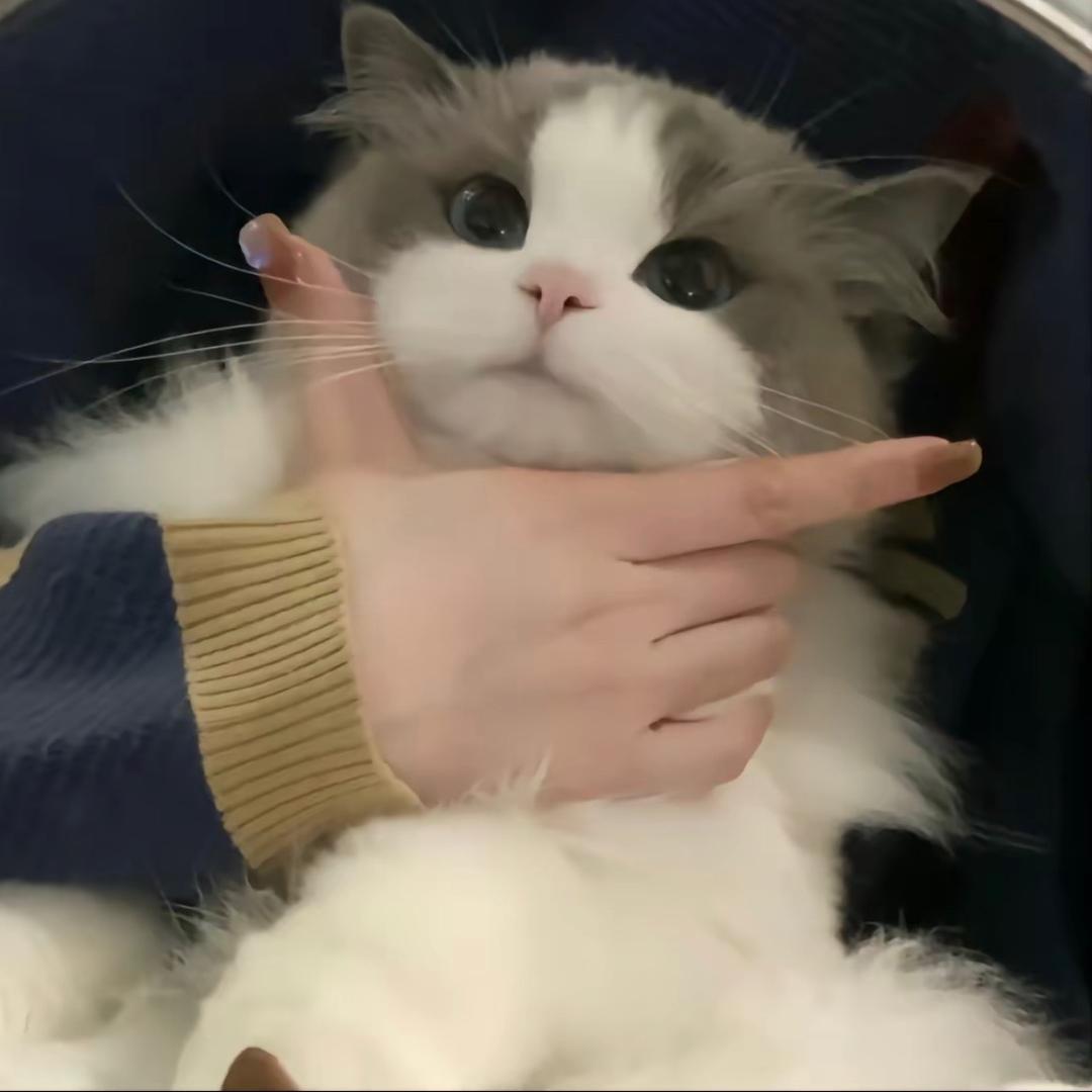 啊哈～
