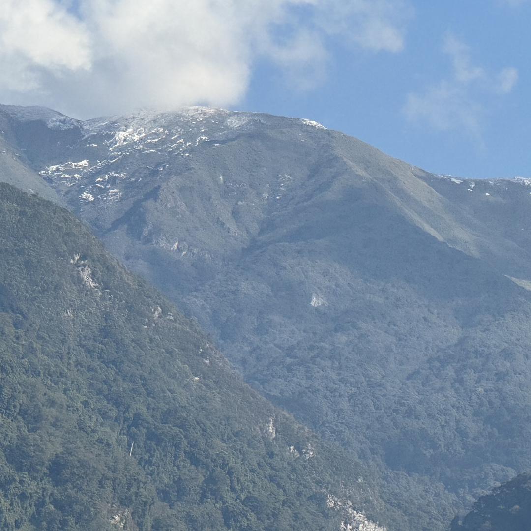 小搞搞茶叶