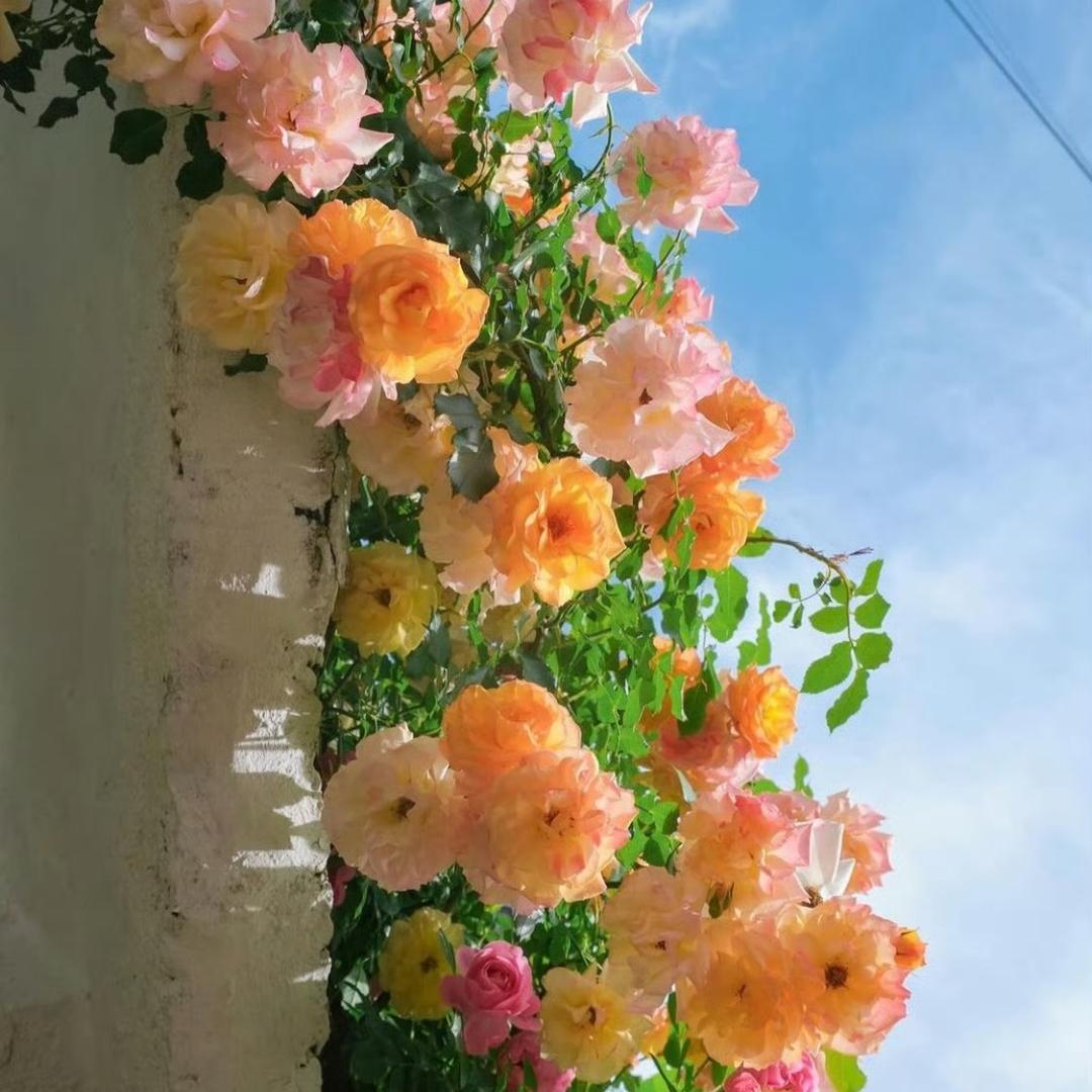 湖南理工大学街坊邻居私房菜