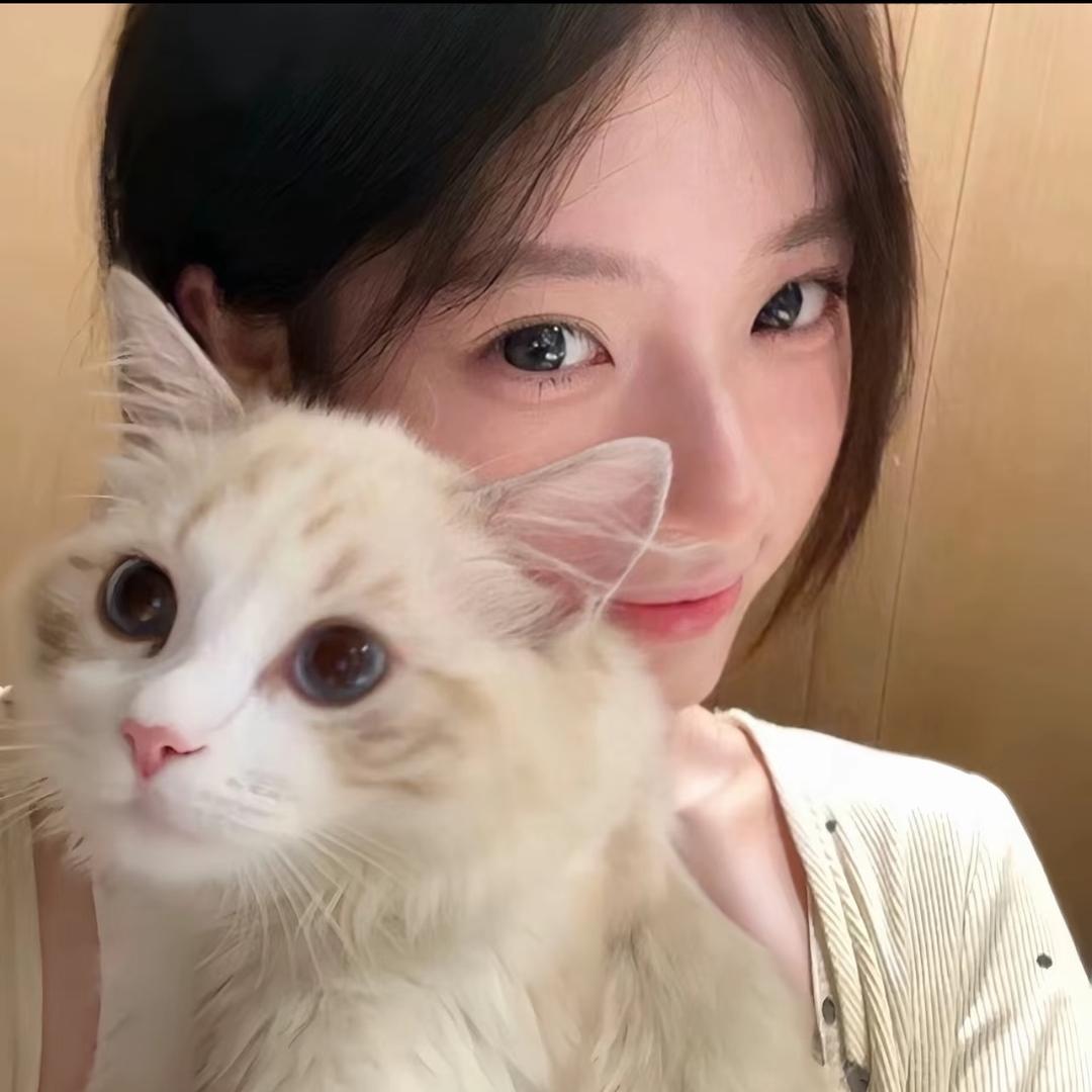 一张猫