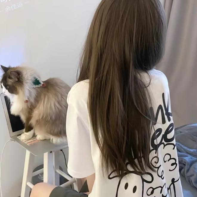 呼噜小猫