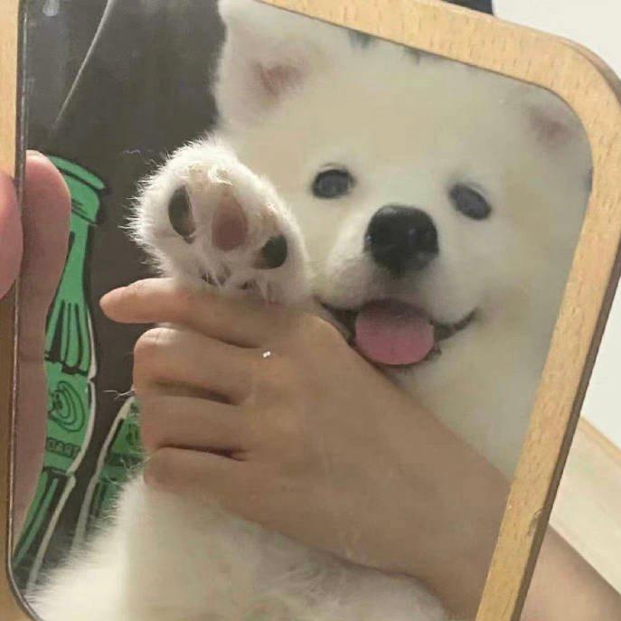 最遥远