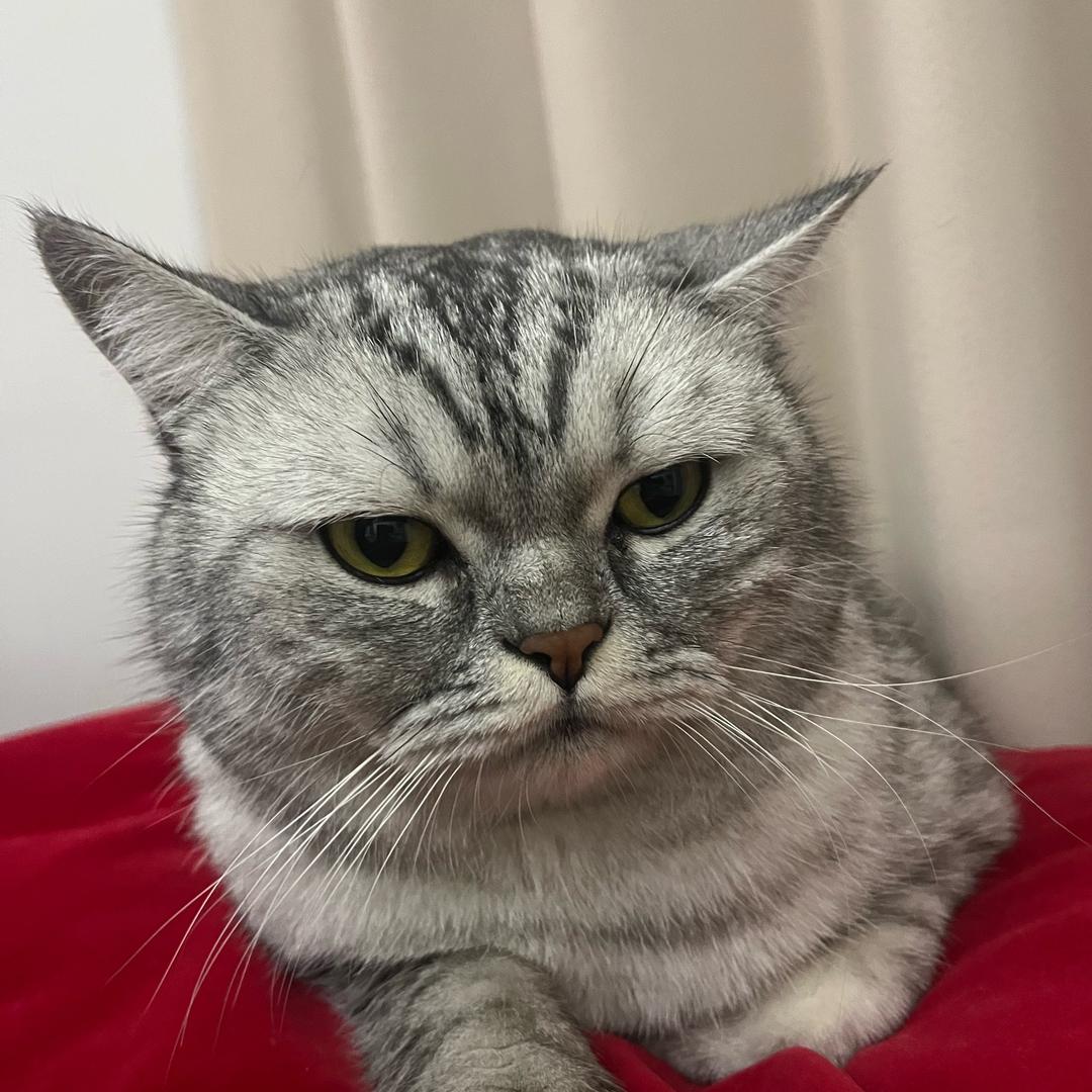 伤心泡泡🫧