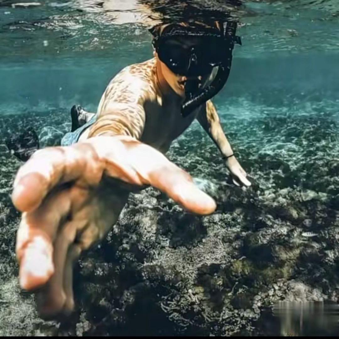 金城武的武.