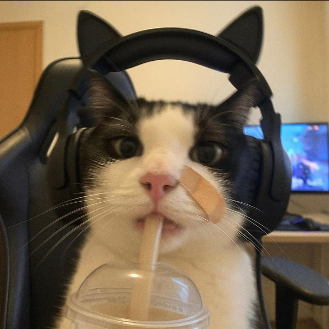 MH
