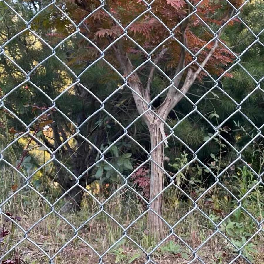 宏鑫养殖围栏网钢丝网