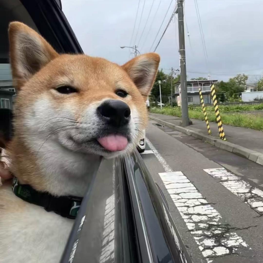 小迪🤍