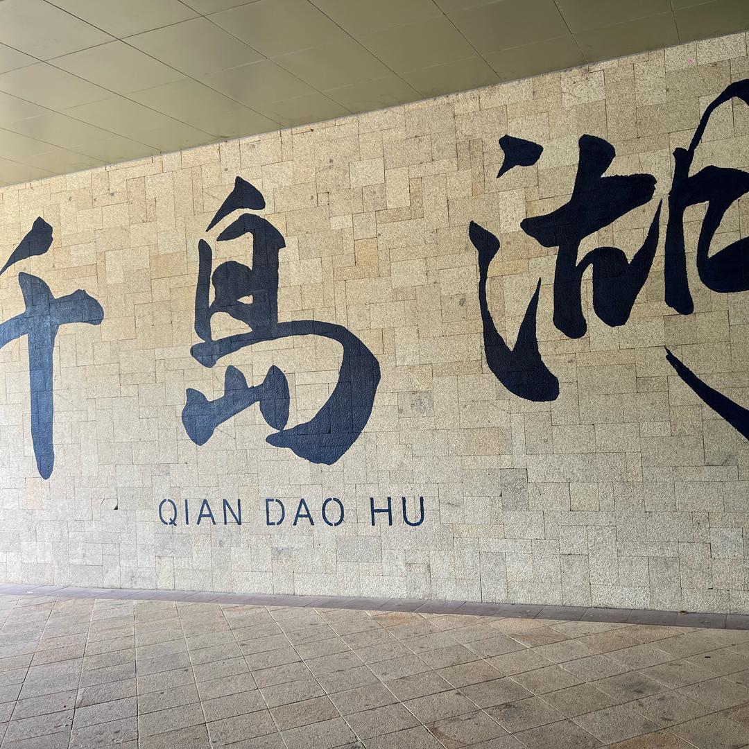 @大头跑腿 （vlog）