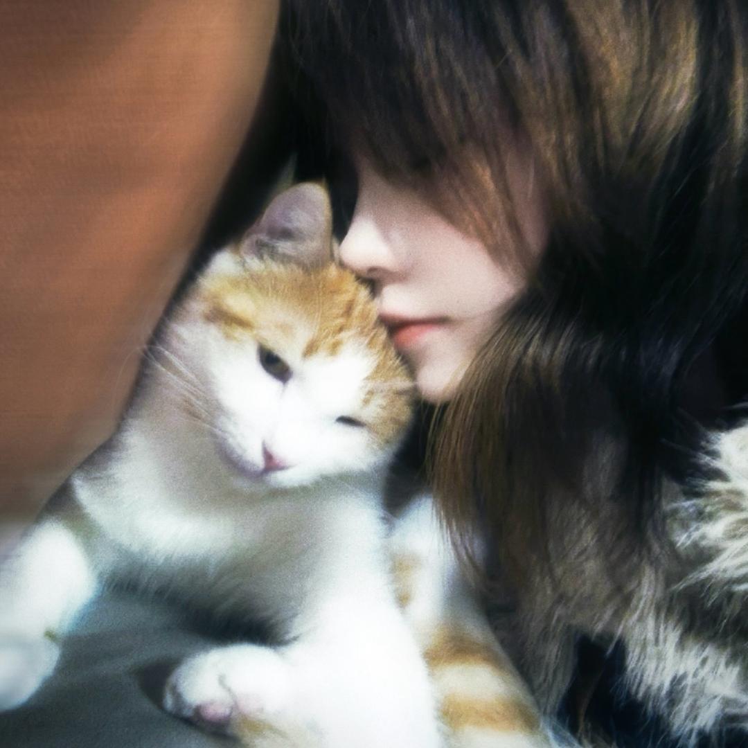 悬溺（见过王一博版