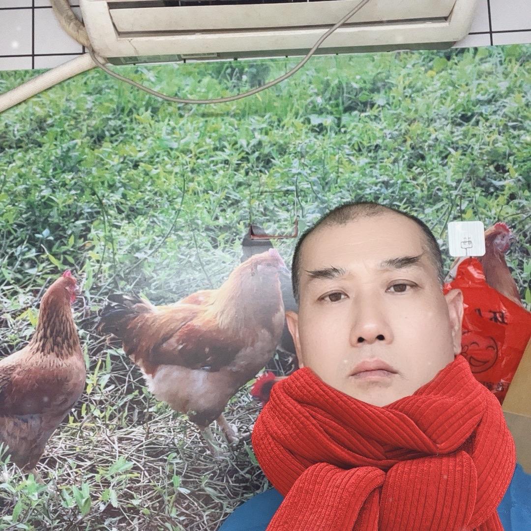 尔东生（蒸鸡愽士）