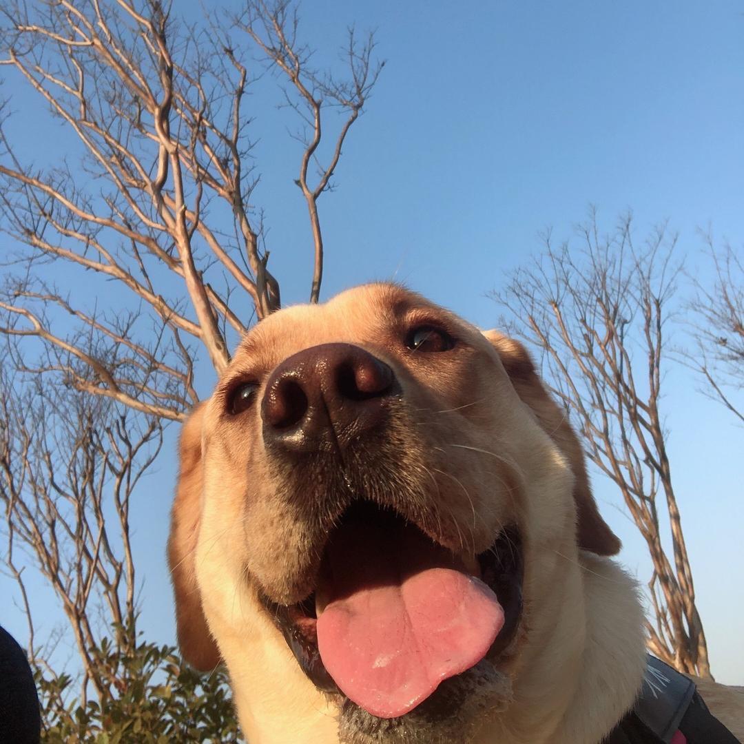 秋天💓