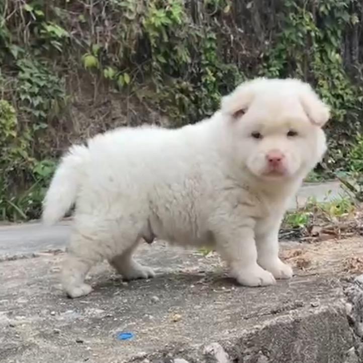 念珠📿