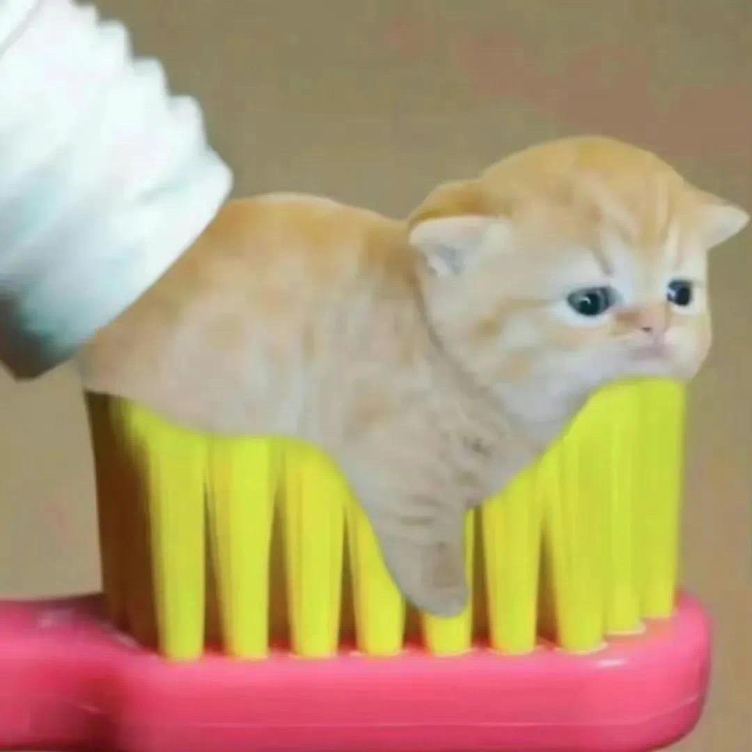 循环⁷⁸