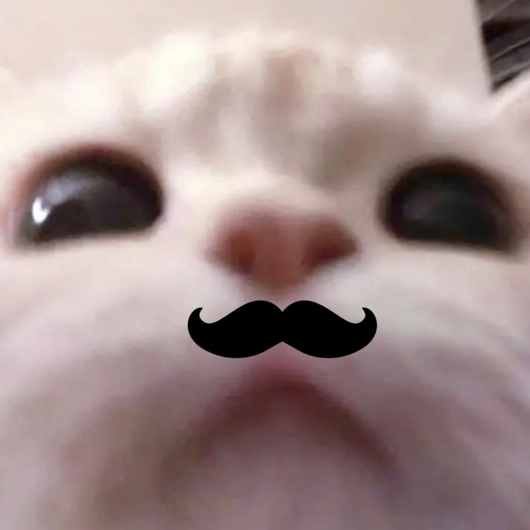 yy