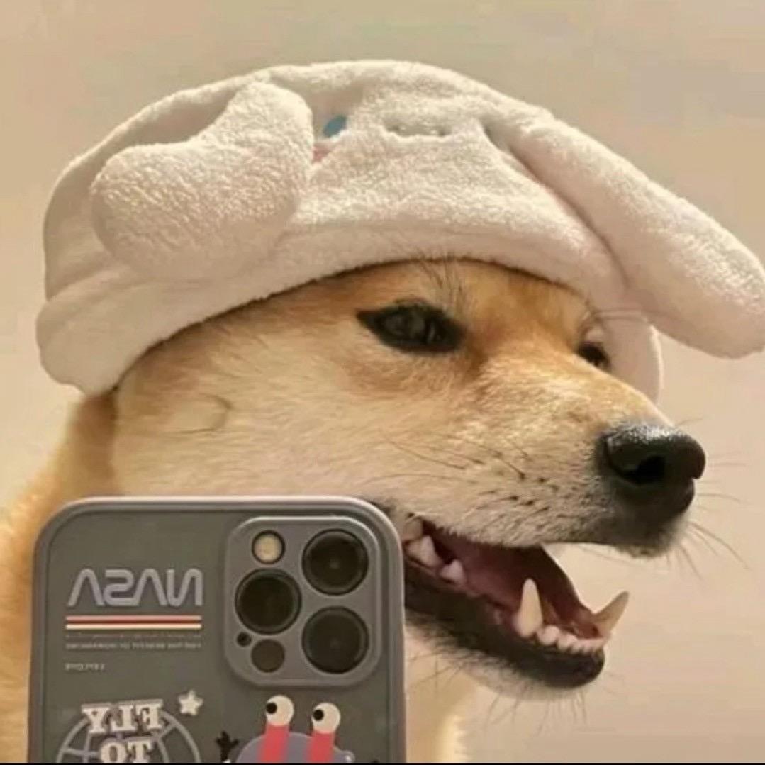 走马观花