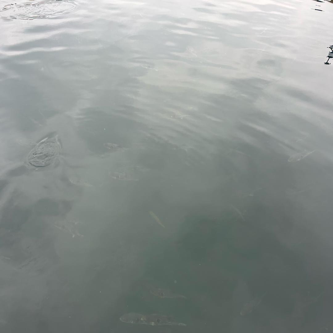海纳百川、
