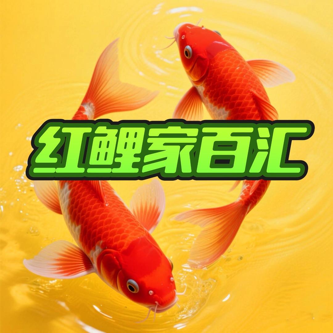 天津市滨海新区红鲤家百汇日用百货店（个体工商户）