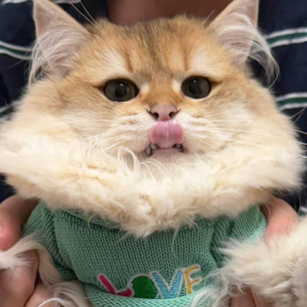 嘻嘻。