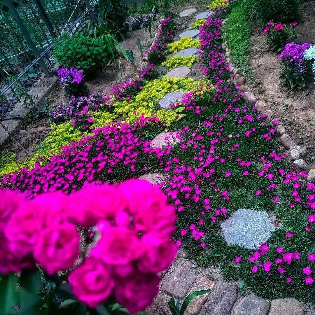 花镜地被小铺