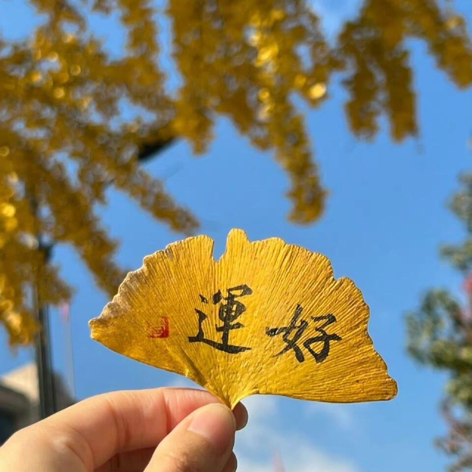 昕妈生活馆