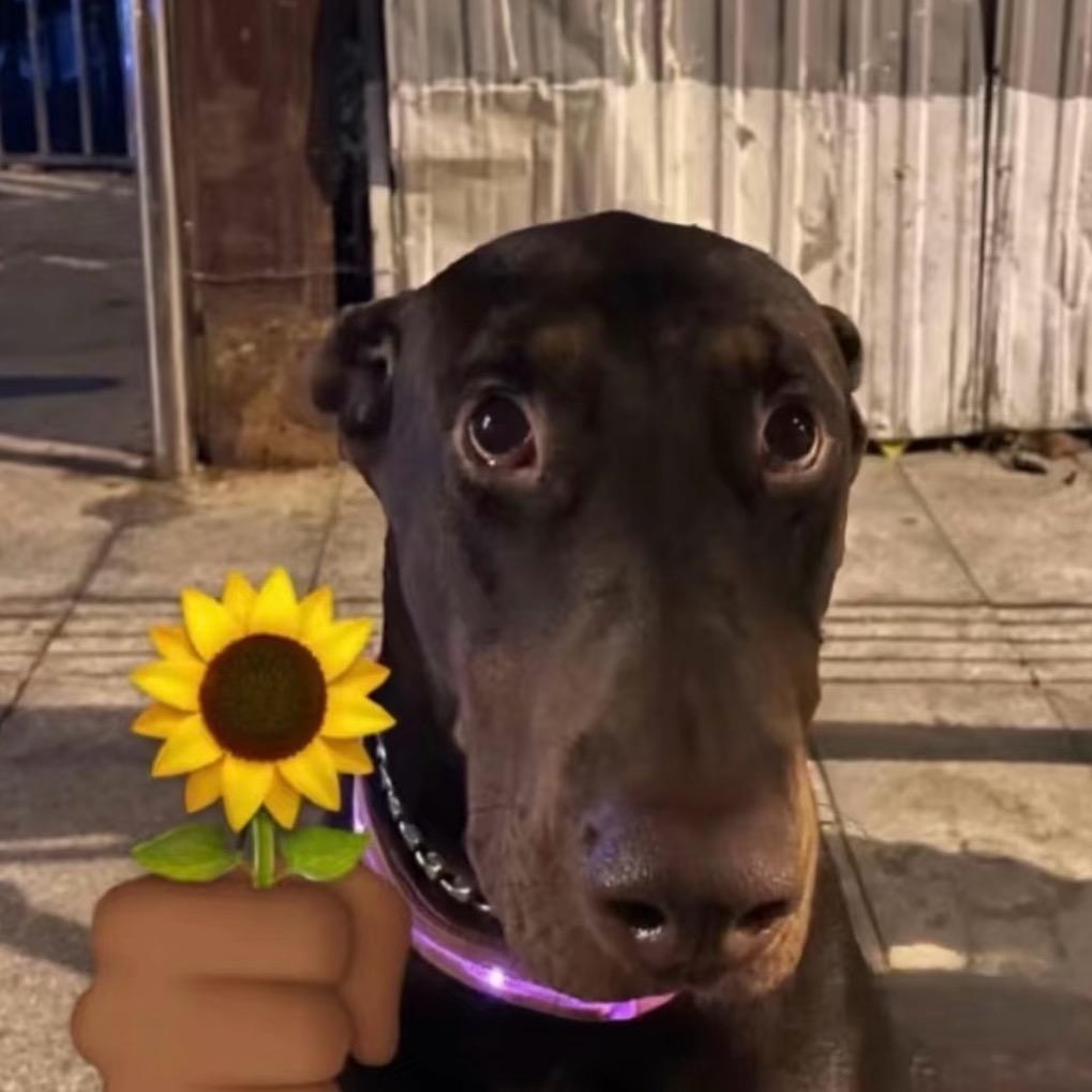 我还以为你要等到23:59分才会出现