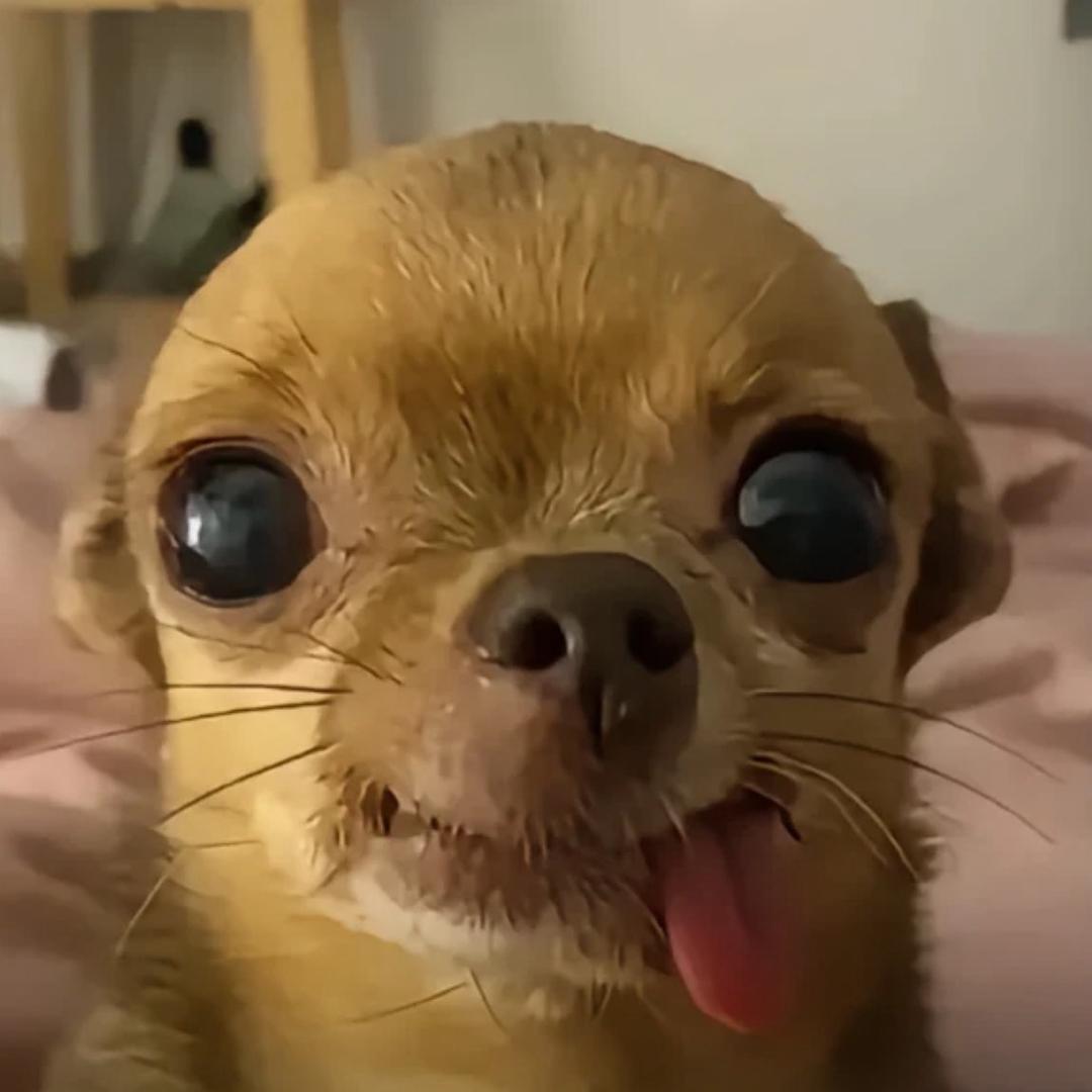 Orang1