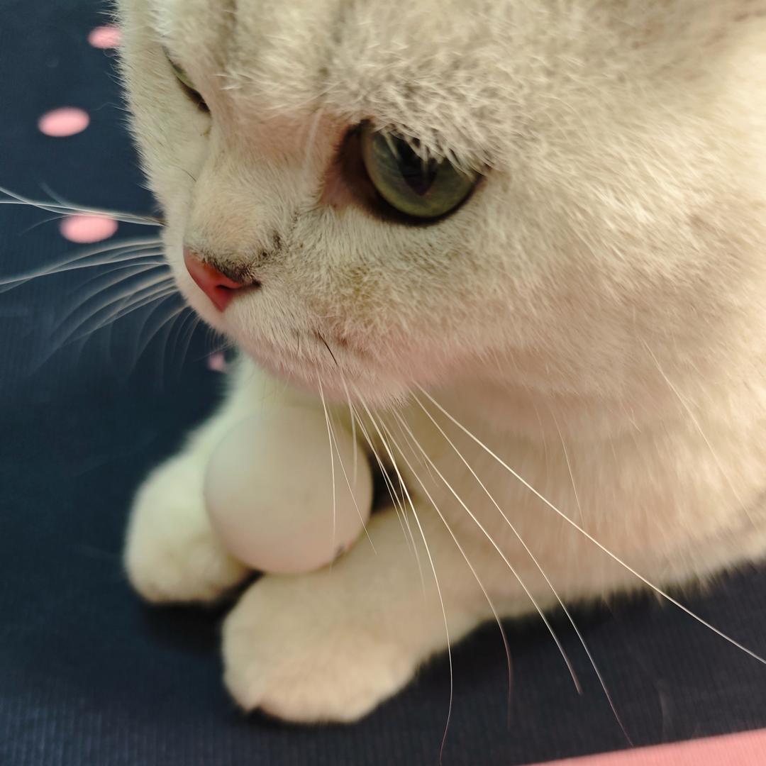 欧米