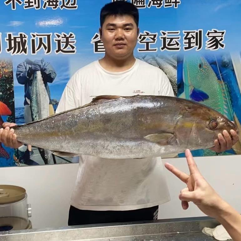 海钓鱼刺身•三文鱼（椰海渔夫）