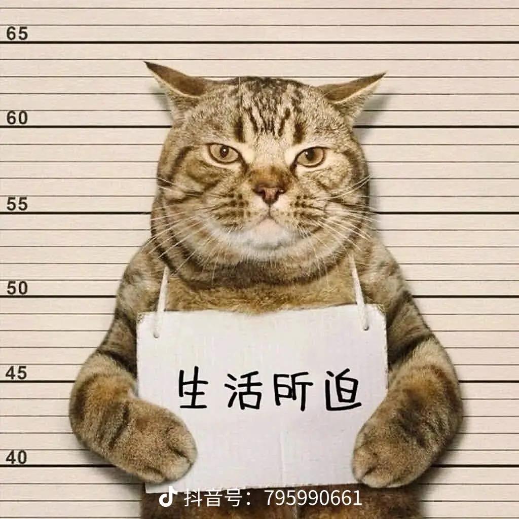 北音