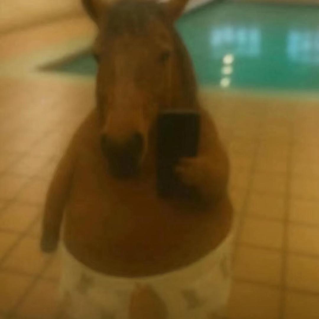 忧伤的一匹骏马