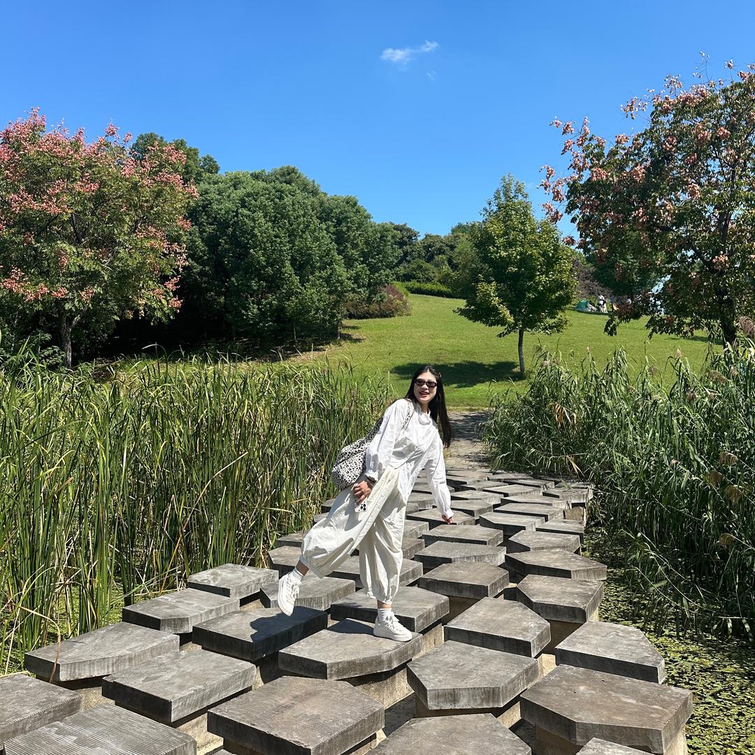 樱花树下小核桃