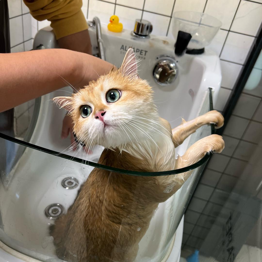 AAA建材市场木姐