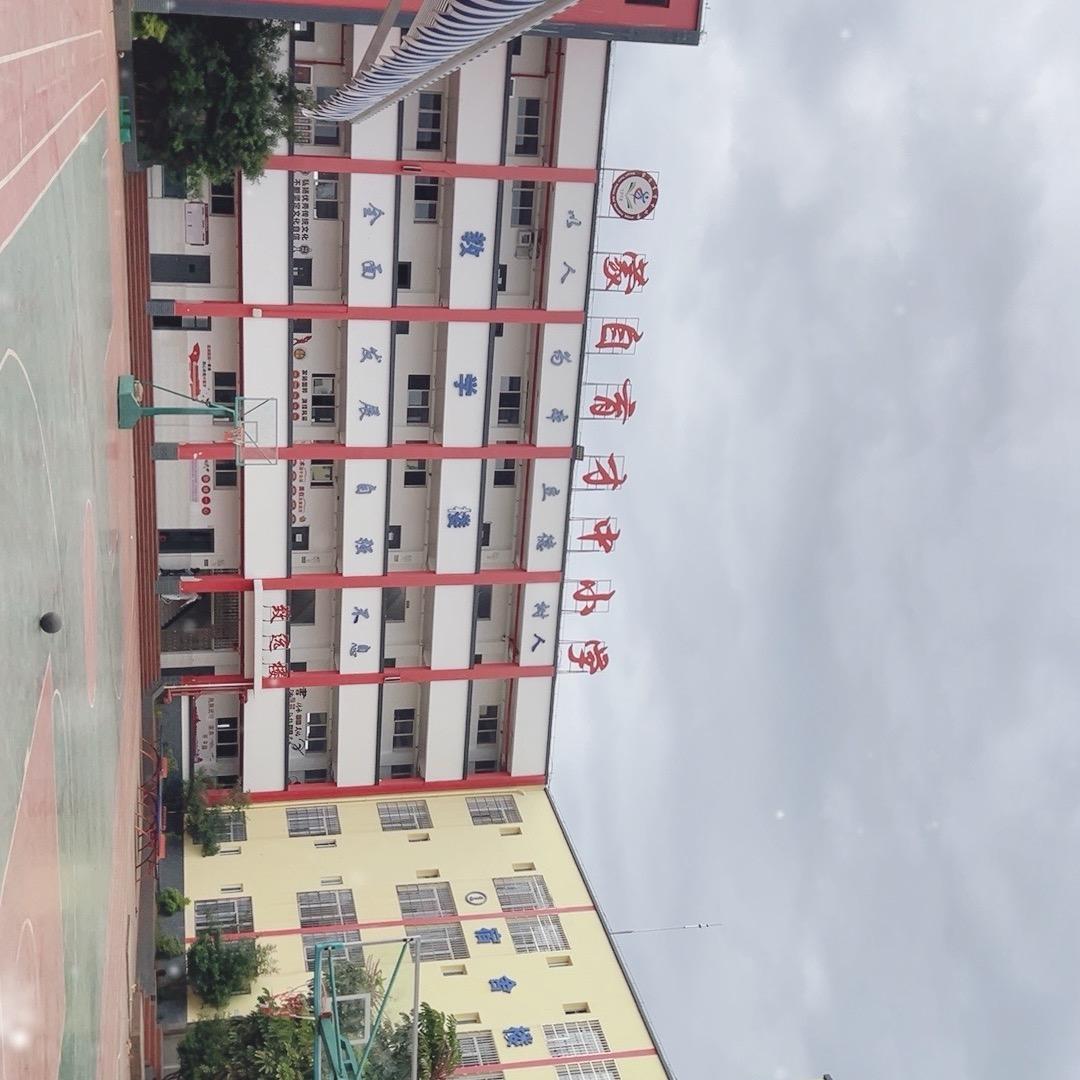 杨老师