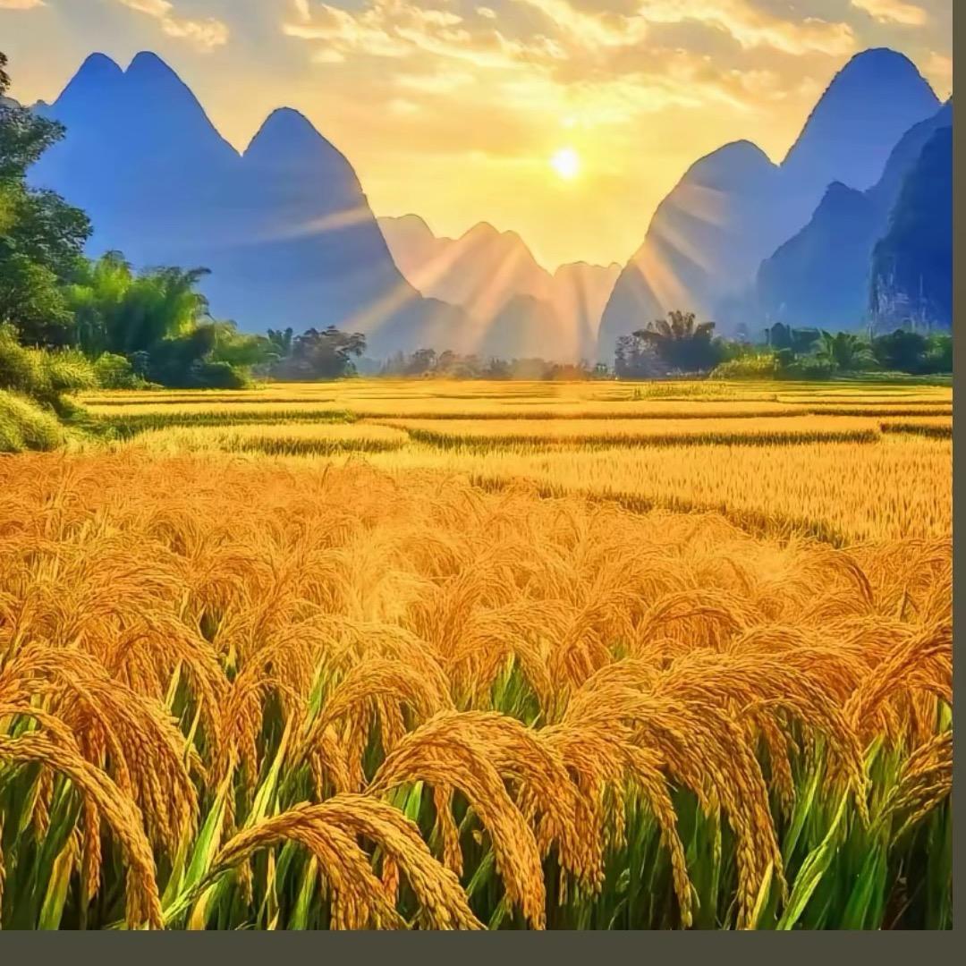 人生小满胜万全