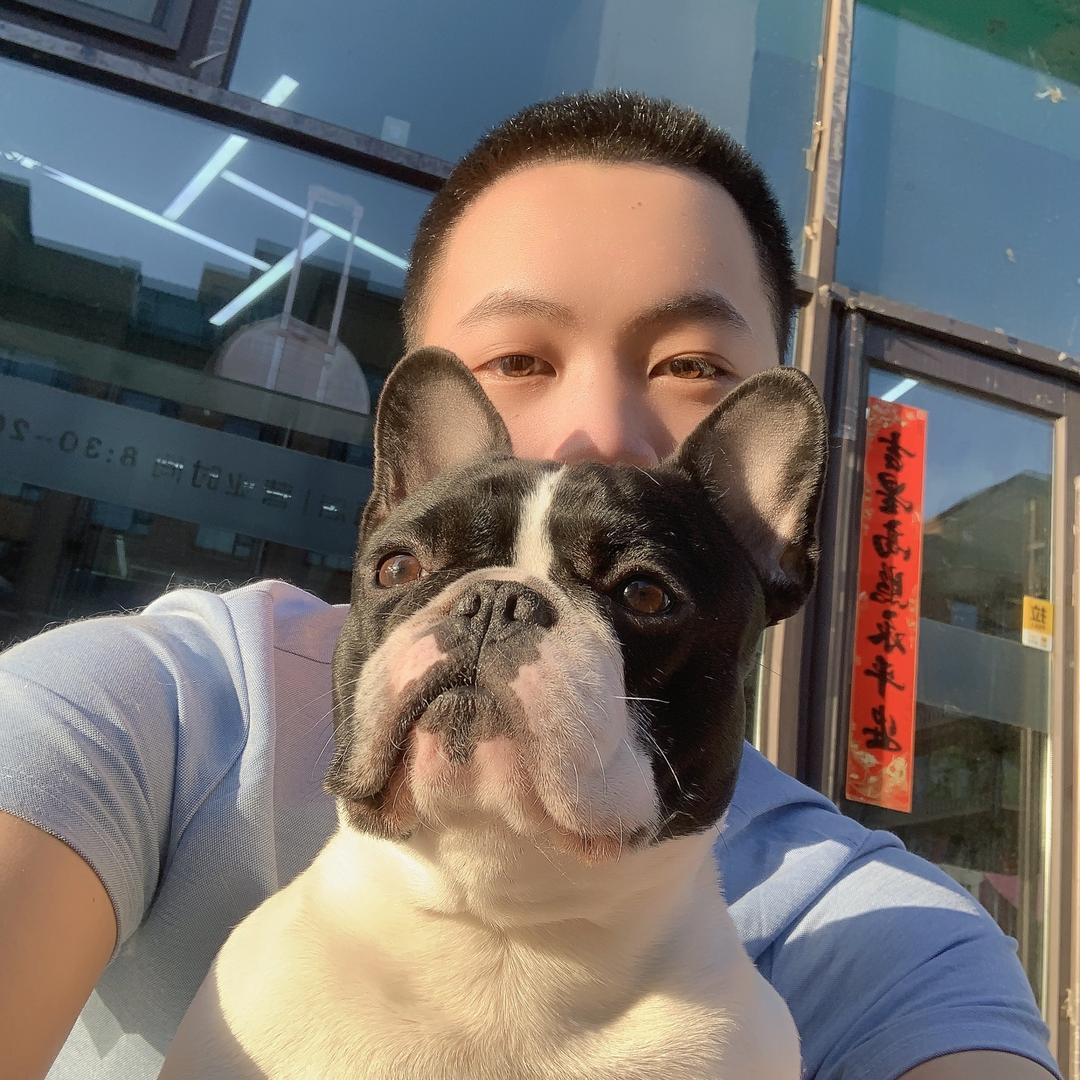 招猫逗狗的超越