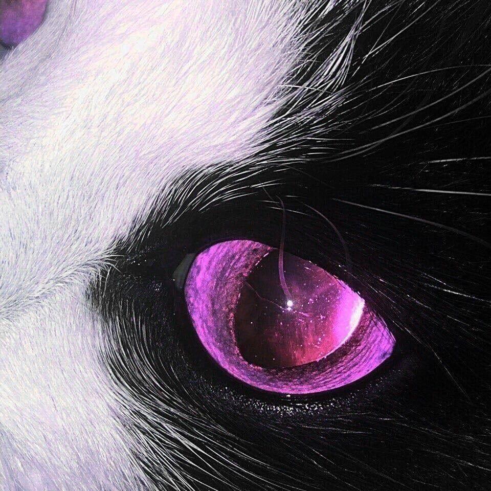 逆转时间的公式