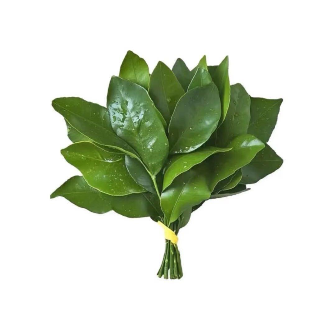 脆薯饼