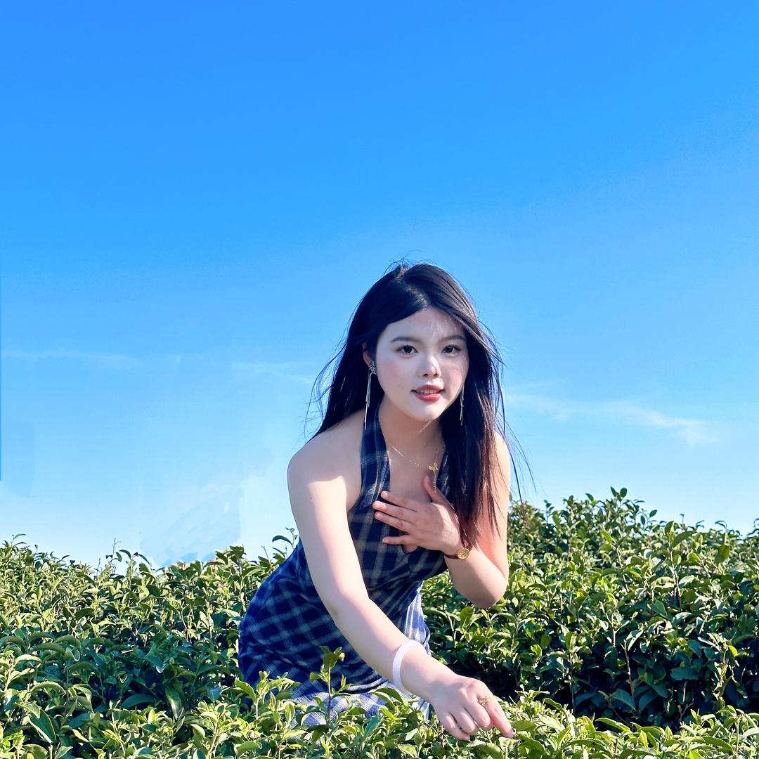 睡个好觉🌸
