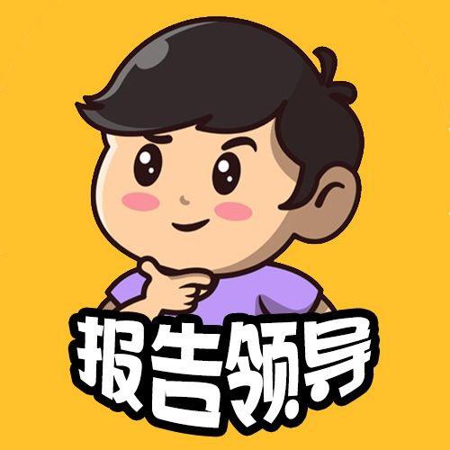 报告领导666