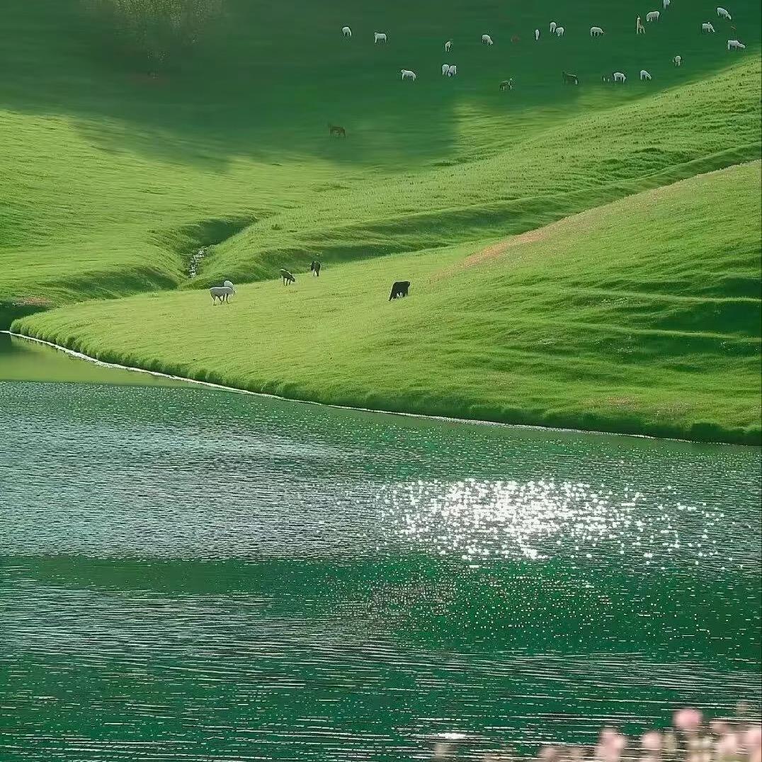 八方来财好运来🍎